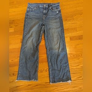 AYR Secret Sauce Jeans 34S Frayed Hem